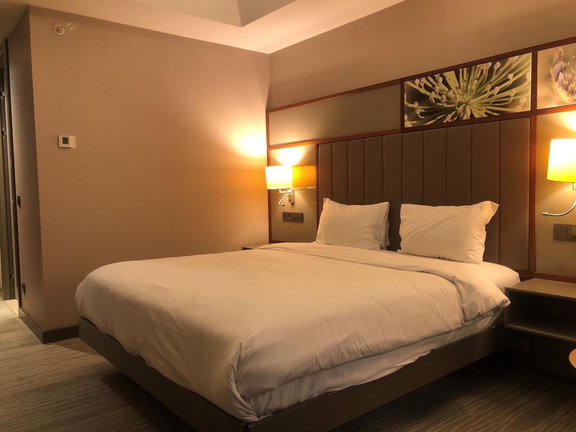 Hilton Garden Inn Istanbul Atatuerk Airport Exterior foto